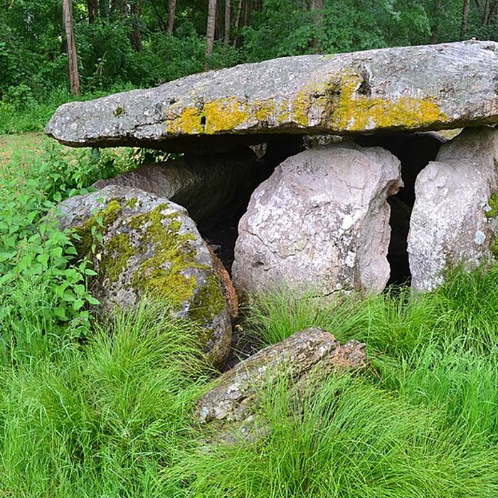 Photo de Dolmen La Vacherie à Distré