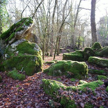 Dolmens de Bellefond