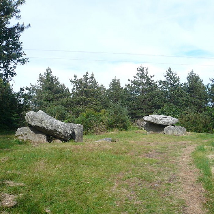 Photo de Deux dolmens de Kervadol et bande de terrain autour du dolmen