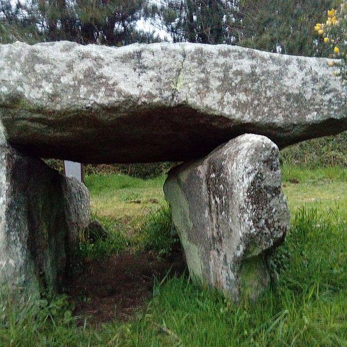 Photo de Deux dolmens de Kervadol et bande de terrain autour du dolmen