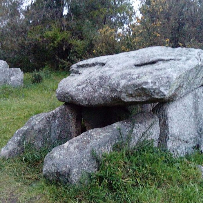Photo de Deux dolmens de Kervadol et bande de terrain autour du dolmen