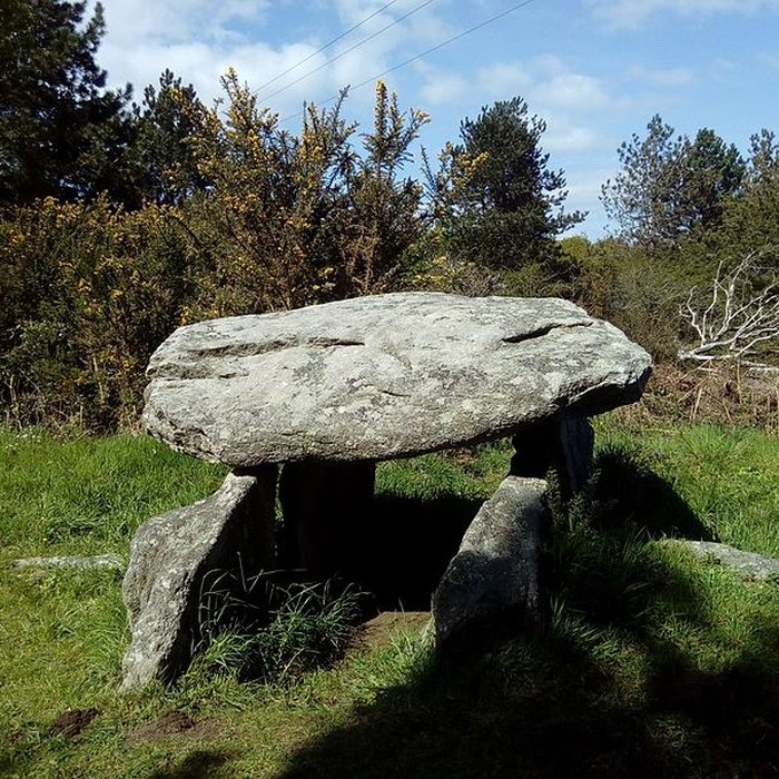 Photo de Deux dolmens de Kervadol et bande de terrain autour du dolmen