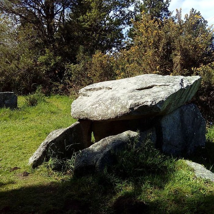 Photo de Deux dolmens de Kervadol et bande de terrain autour du dolmen