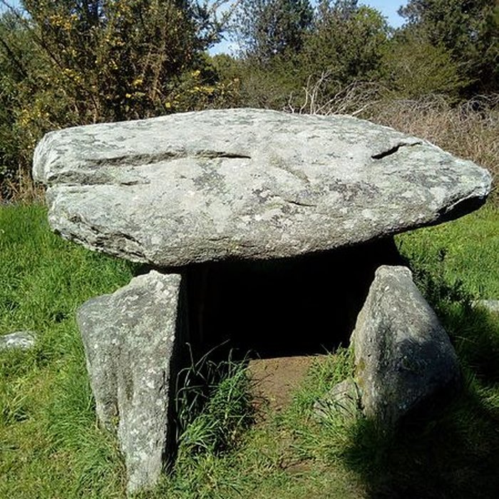 Photo de Deux dolmens de Kervadol et bande de terrain autour du dolmen