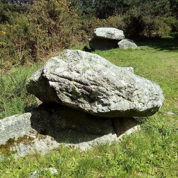 Photo de Deux dolmens de Kervadol et bande de terrain autour du dolmen