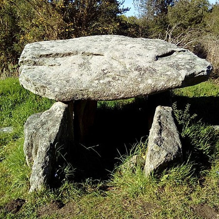 Photo de Deux dolmens de Kervadol et bande de terrain autour du dolmen
