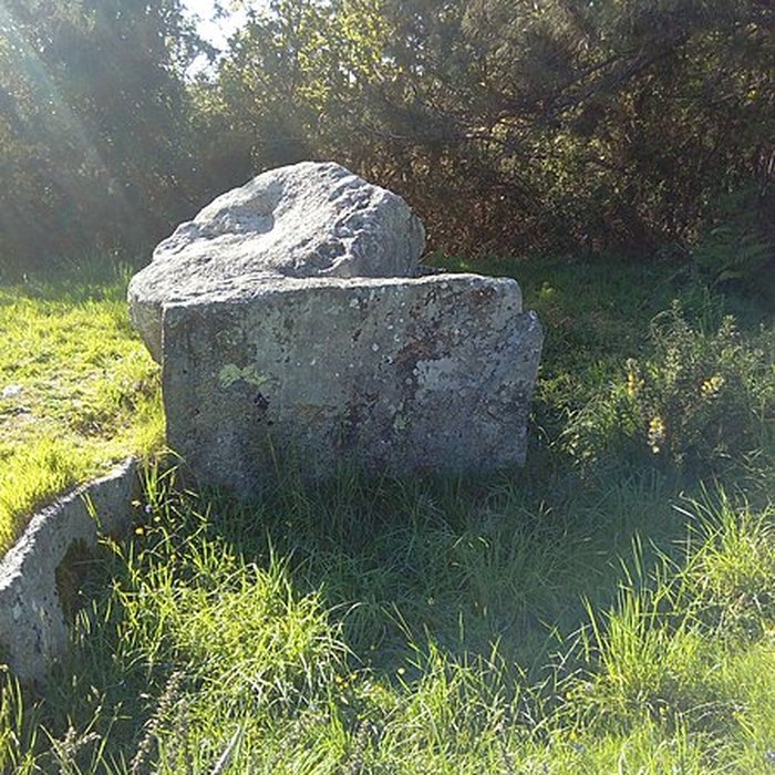 Photo de Deux dolmens de Kervadol et bande de terrain autour du dolmen