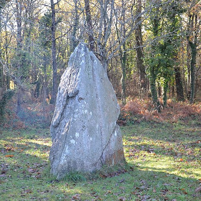 Photo de Deux dolmens de Kervadol et bande de terrain autour du dolmen