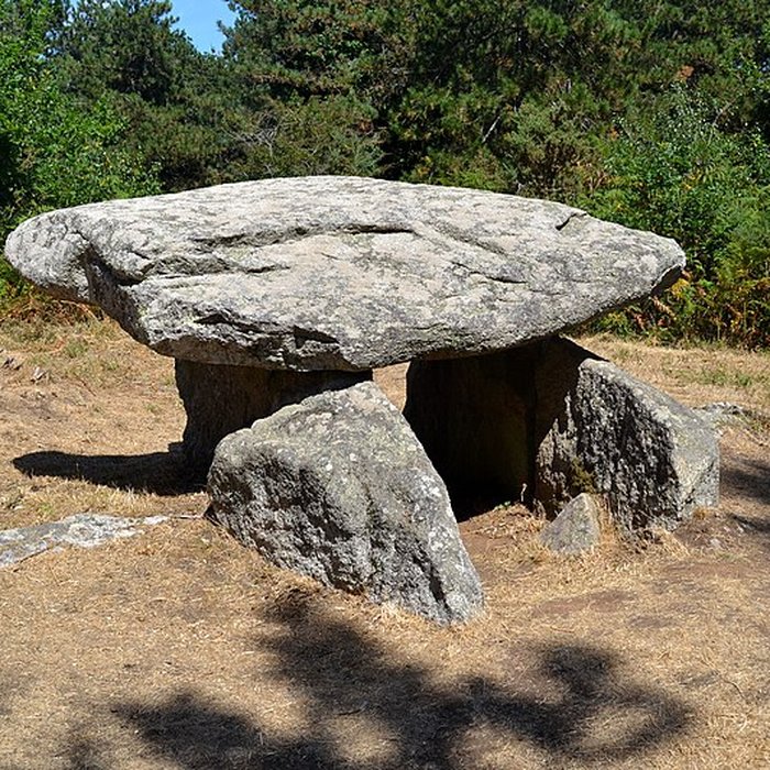 Photo de Deux dolmens de Kervadol et bande de terrain autour du dolmen