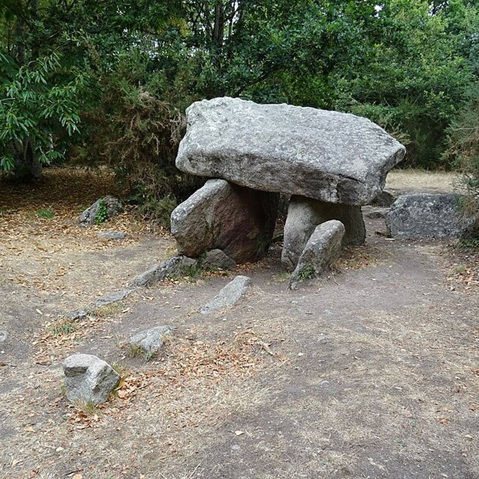 Photo de Deux dolmens de Kervadol et bande de terrain autour du dolmen
