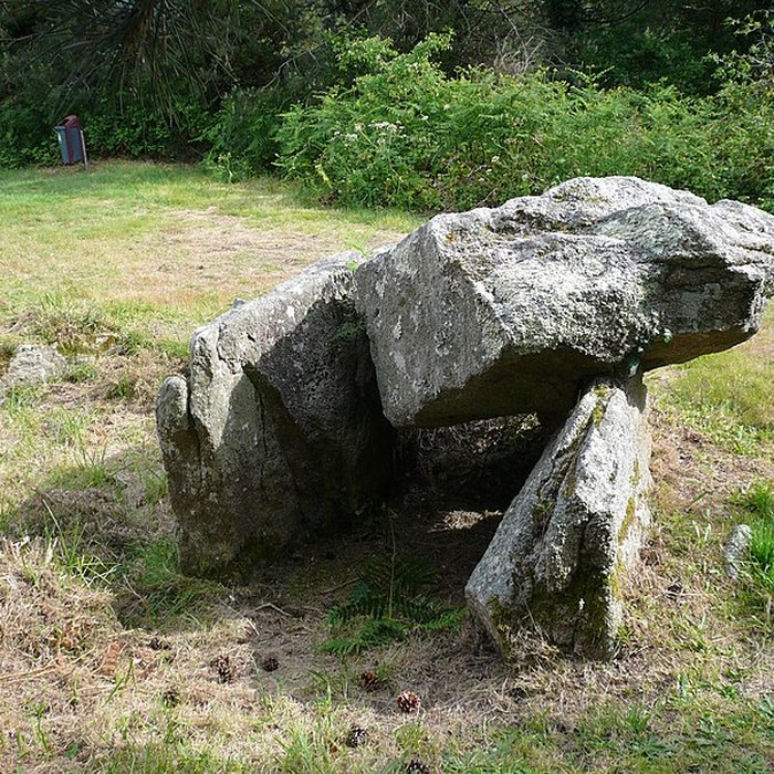 Photo de Deux dolmens de Kervadol et bande de terrain autour du dolmen