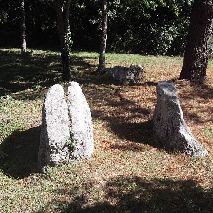 Photo de Deux dolmens de Kervadol et bande de terrain autour du dolmen