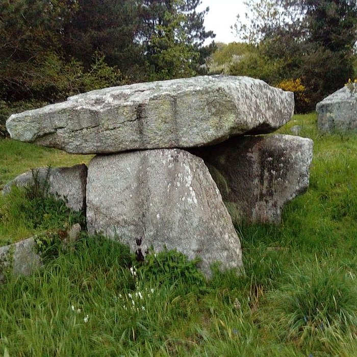 Photo de Deux dolmens de Kervadol et bande de terrain autour du dolmen