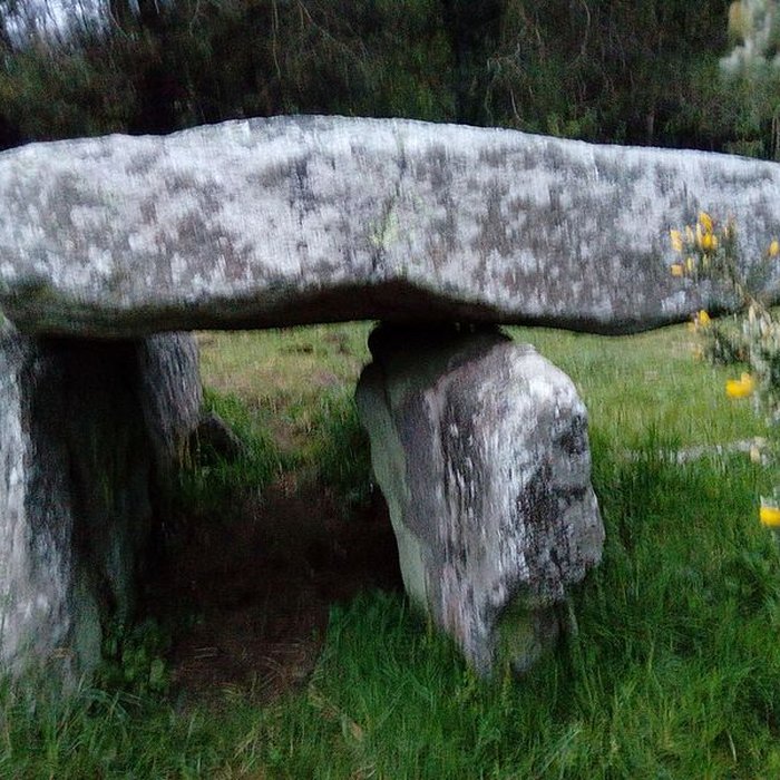 Photo de Deux dolmens de Kervadol et bande de terrain autour du dolmen