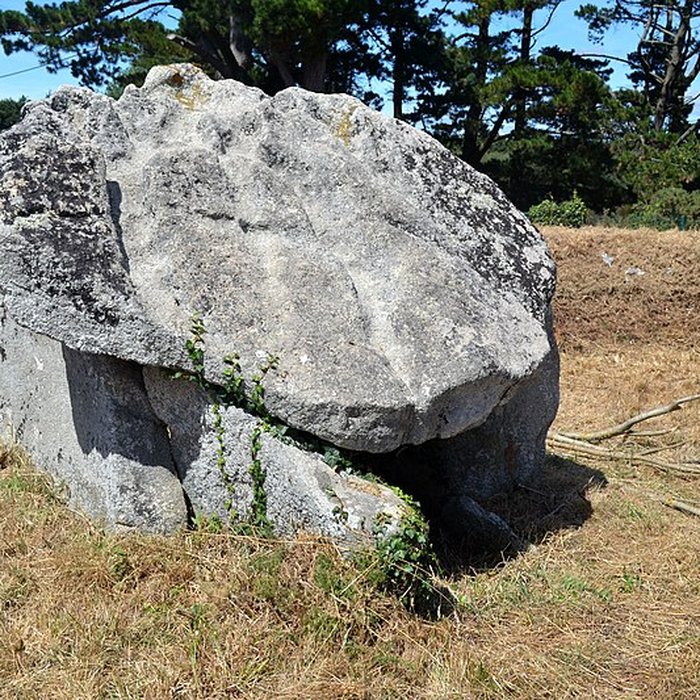 Photo de Deux dolmens de Kervadol et bande de terrain autour du dolmen