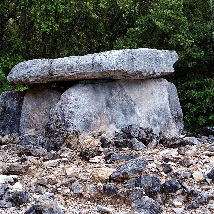 Photo de Dolmens de la forêt de Malbosc à Saint-Remèze
