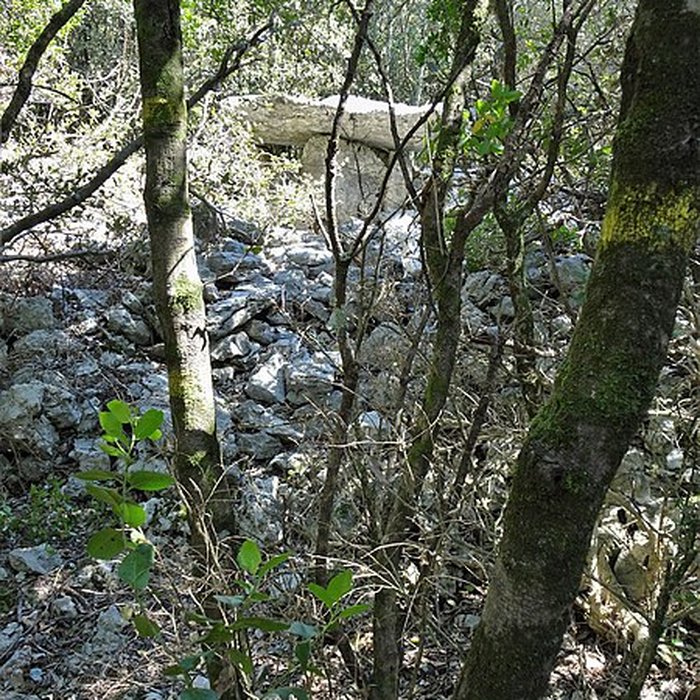 Photo de Dolmens de la forêt de Malbosc à Saint-Remèze