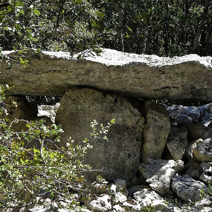Photo de Dolmens de la forêt de Malbosc à Saint-Remèze