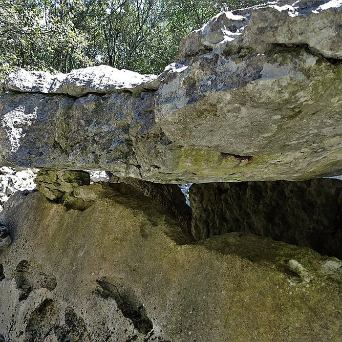 Photo de Dolmens de la forêt de Malbosc à Saint-Remèze