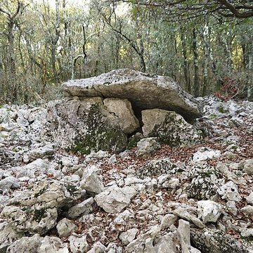 Dolmens de la forêt de Malbosc à Saint-Remèze
