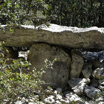 Dolmens de la forêt de Malbosc à Saint-Remèze