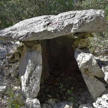 Dolmens de la forêt de Malbosc à Saint-Remèze
