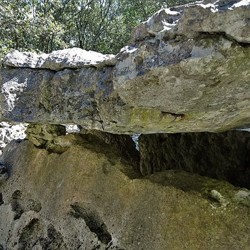 Dolmens de la forêt de Malbosc à Saint-Remèze