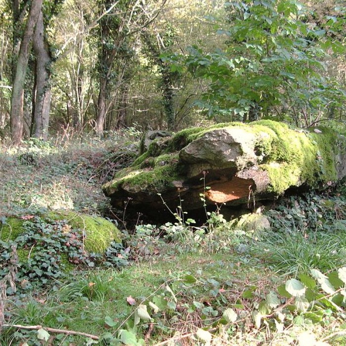 Photo de Dolmens de Trainel à Saint-Maurice-aux-Riches-Hommes