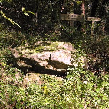 Dolmens de Trainel à Saint-Maurice-aux-Riches-Hommes