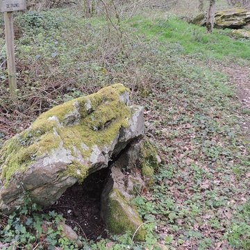 Dolmens de Trainel à Saint-Maurice-aux-Riches-Hommes