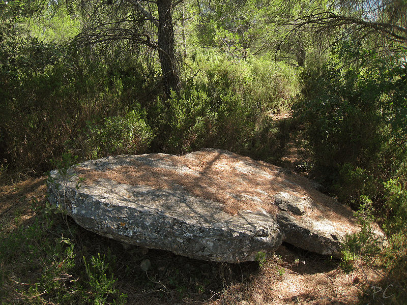 Dolmens des Adrets N° 4 de Brignoles