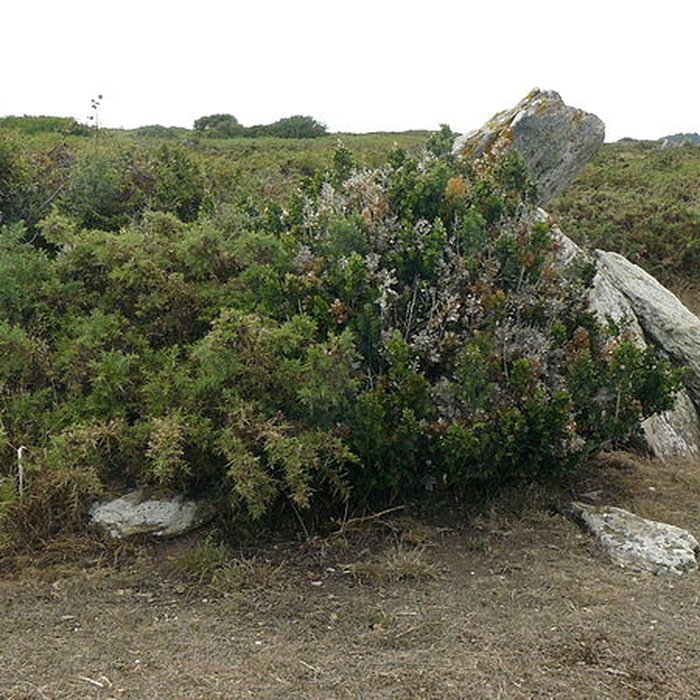 Photo de Dolmens Men Cam et Men Yann à Groix Île de