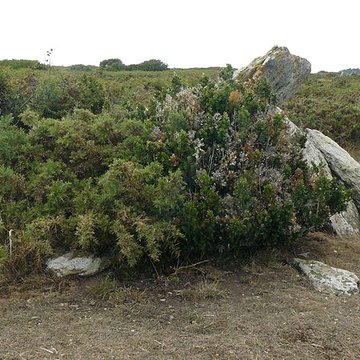 Dolmens Men Cam et Men Yann à Groix Île de