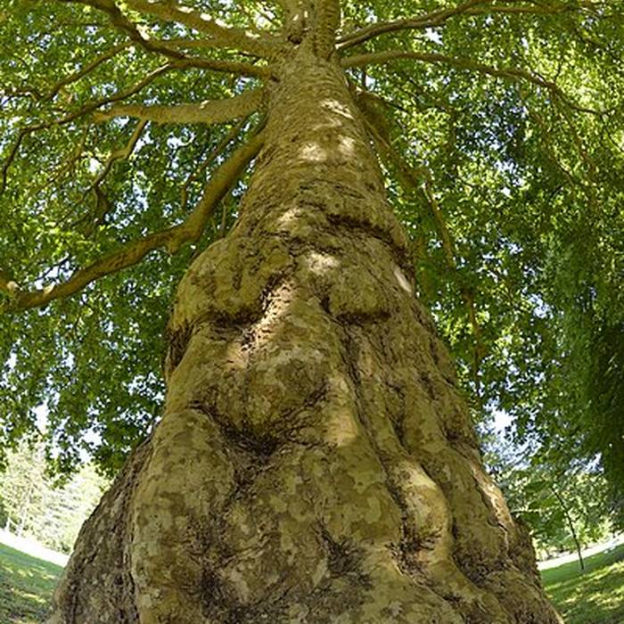 Photo de Domaine dAcquigny