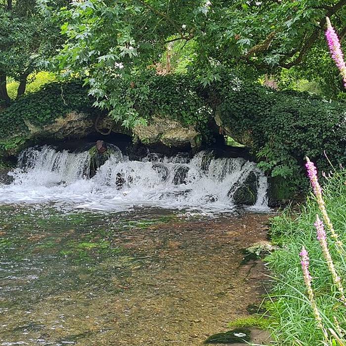 Photo de Domaine dAcquigny