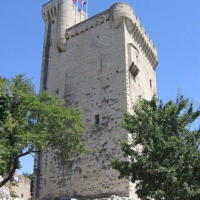 Photo de Tour Philippe le Bel de Villeneuve-lès-Avignon