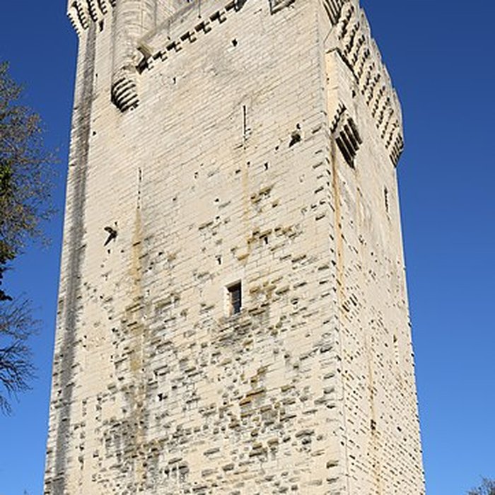 Photo de Tour Philippe le Bel de Villeneuve-lès-Avignon