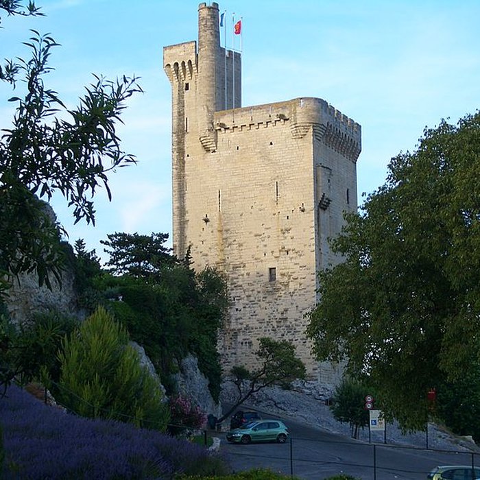 Photo de Tour Philippe le Bel de Villeneuve-lès-Avignon