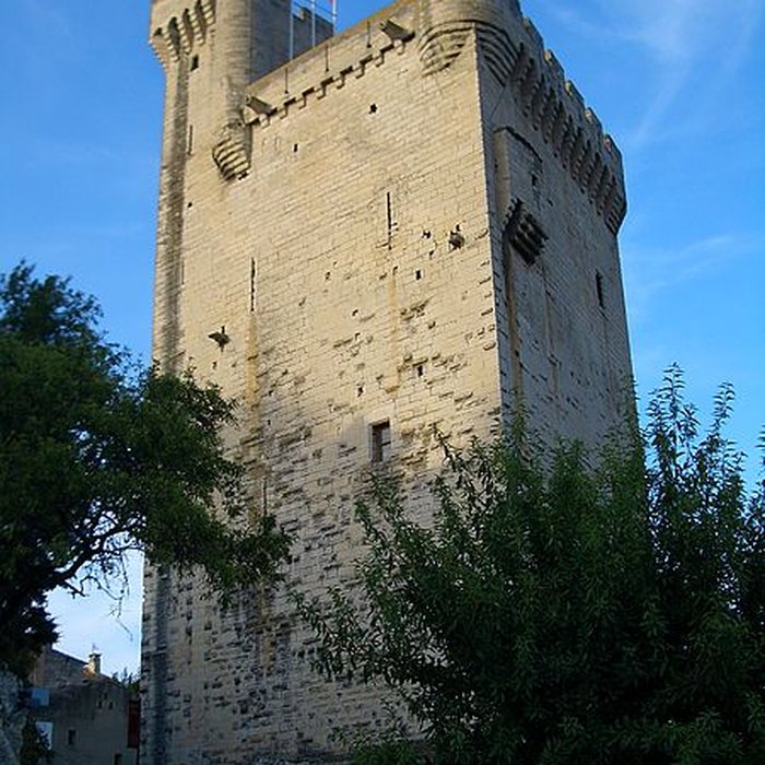 Photo de Tour Philippe le Bel de Villeneuve-lès-Avignon