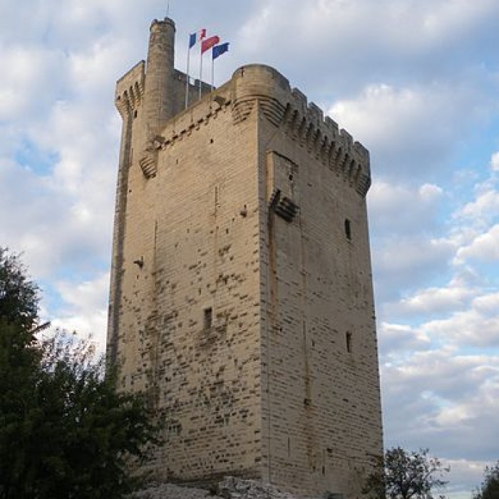 Photo de Tour Philippe le Bel de Villeneuve-lès-Avignon