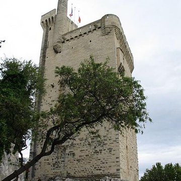 Tour Philippe le Bel de Villeneuve-lès-Avignon
