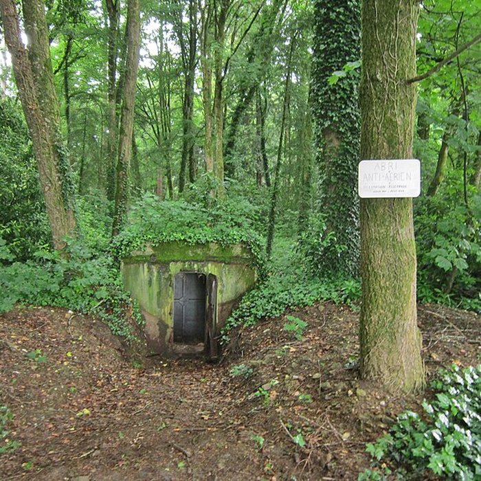 Photo de Domaine de Kerlivio à Brandérion