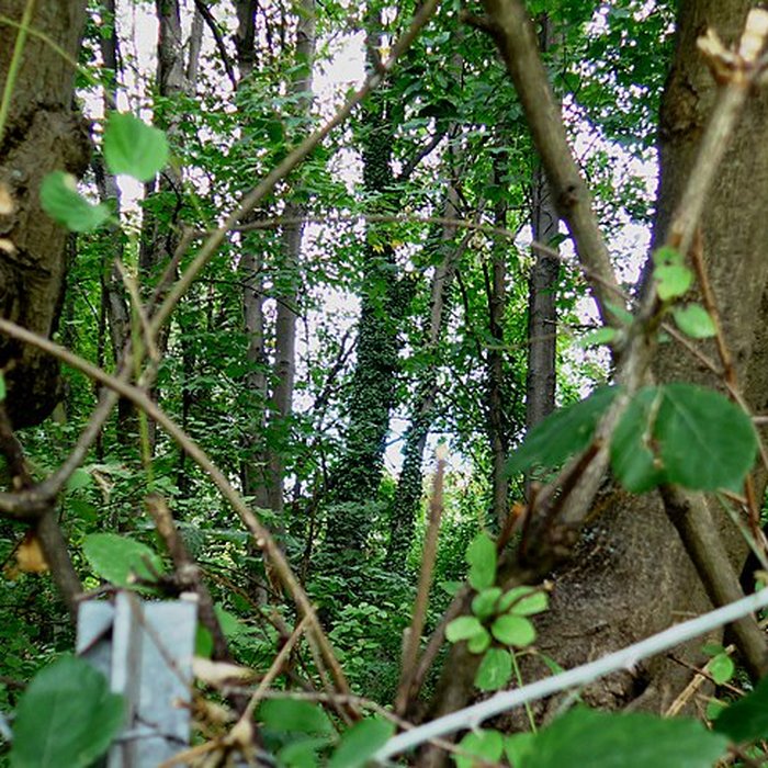 Photo de Domaine de Valensolles à Valence
