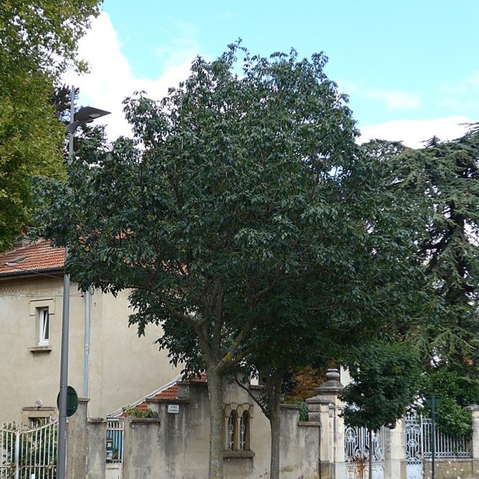 Photo de Domaine de Valensolles à Valence