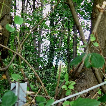 Domaine de Valensolles à Valence