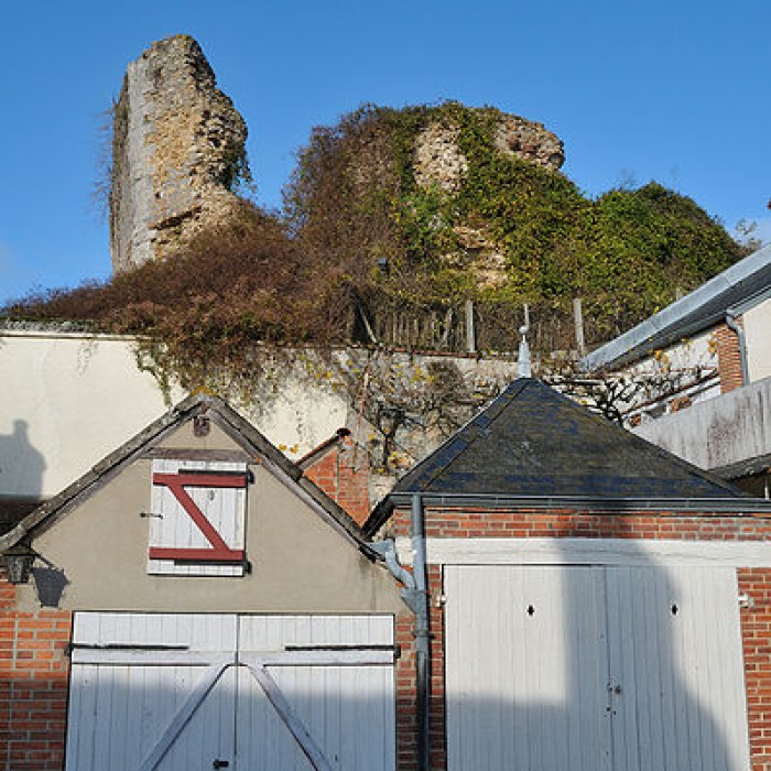 Photo de Donjon de la Motte
