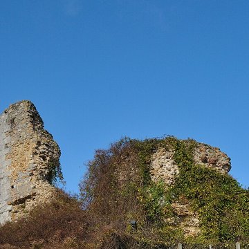 Donjon de la Motte