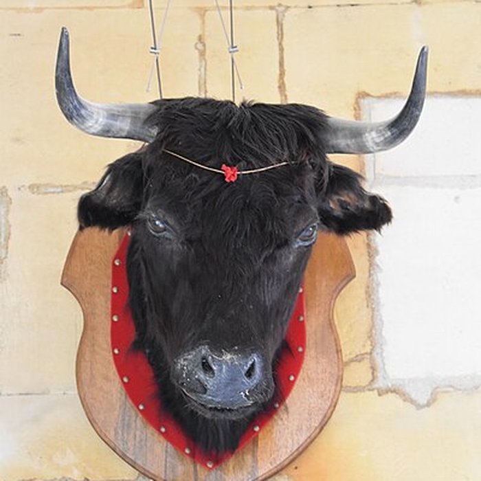 Photo de Tour Saint-Louis de Port-Saint-Louis-du-Rhône