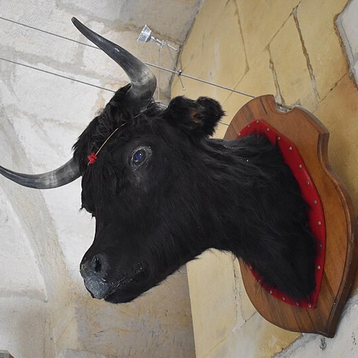 Photo de Tour Saint-Louis de Port-Saint-Louis-du-Rhône