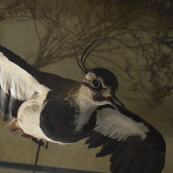 Photo de Tour Saint-Louis de Port-Saint-Louis-du-Rhône